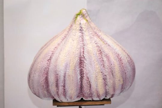 Часник для пасхальної інсталяції
